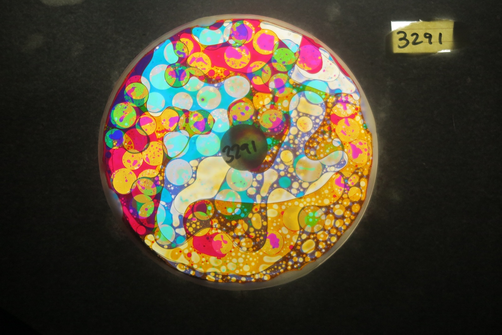 BV3291 bubble vision oil wheel